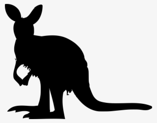 Download Png - Kangaroo