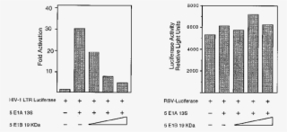 Ad5 E1b 19k Expression Inhibits Nf-b Activation - Diagram