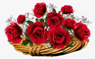 Roses, Red, Flowers, Romantic, Valentine, Basket - Valentine Red Roses Png Transparent