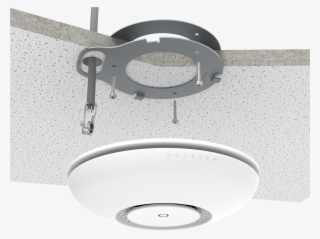 High Resolution Images - Cap Ac Rbcapgi 5acd2nd