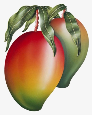 Mango Png Image & Mango Clipart - Mango Leaves Painting