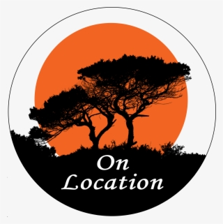 Updated - 05/01/2018 - Beautiful Vector