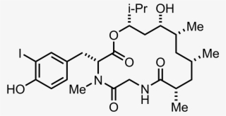 Structure Of Doliculide - Succinic Dihydrazide