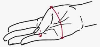 Measuring For Bangles - Line Art