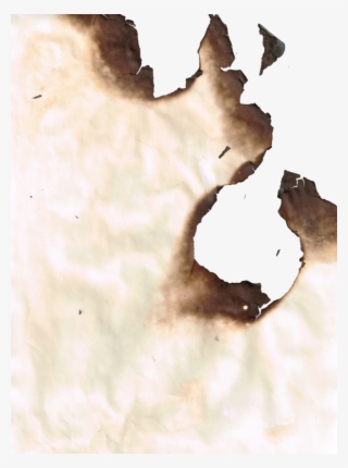 Burnt Png - Still Life Photography