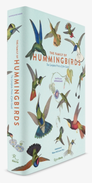 Ruby-throated Hummingbird