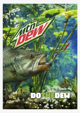 Mountain Dew Fish