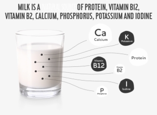 Company - Old Fashioned Glass