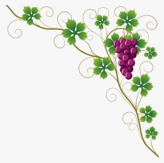 Common Grape Vine Grape Leaves Wine Clip Art - Grape Vine Corner Border