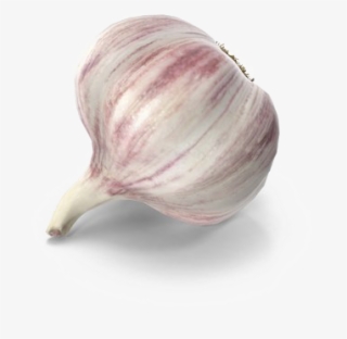 Garlic Png Free Download - Garlic