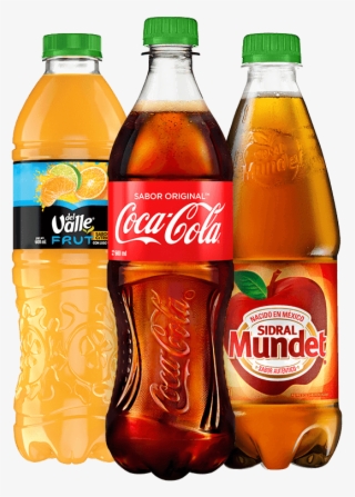 Conoce Más - Coca Cola
