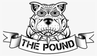 The Pound Gym