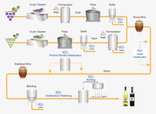 Wine Filtration Process Flow Diagram - Diagram