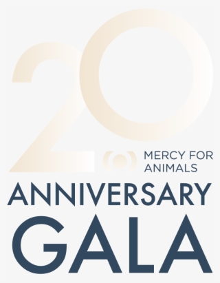 Mfa Hidden Heroes Gala - Ajman University Of Science