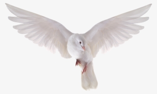 Heavenly Dove Holy Spirit Transparent Png Heavenly - Flying Dove