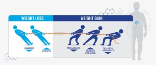 Graphic Depicting Conflicting Factors Contributing - Graphic Design