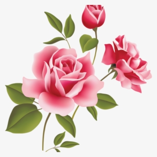 Pink Rose Clipart Pink Rose Art Picture Clipart Clipart - Rose Flowers Vector Png