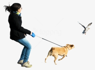 Free Png Download Dog Running At Birds Png Images Background - Dog Running Transparent Background