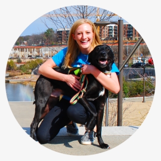 20 Pack Walks - Companion Dog