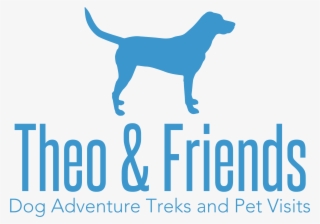 Dog Walking, Pet Sitting, And Adventure Treks By Theo - Hunting Dog