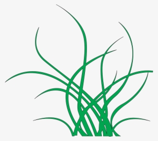 Seaweed Png - Algas Fundo Do Mar Png