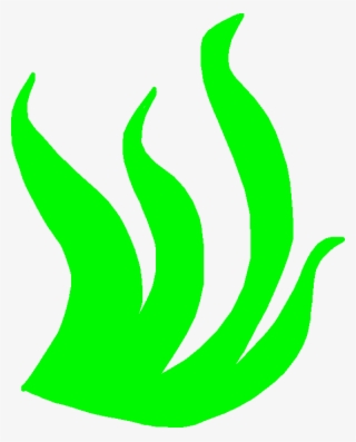 Seaweed - Seaweed