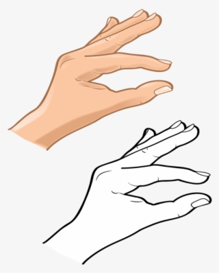 Hands 4 Vector - Drawing