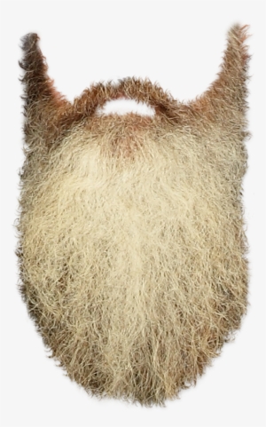 Beard In - Beard Transparent Background