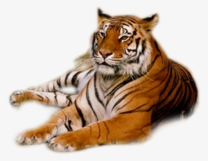 Granby Zoo