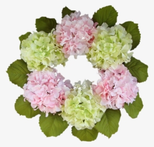 Forgetmenot Frames Png Pinterest And More - Portable Network Graphics