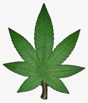 Weed Leaf Png