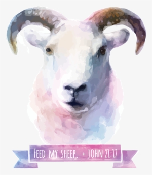 Feed My Sheep - Animal Watercolor Background Art