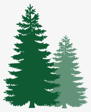 Free Image On Pixabay Pine Trees Spruce Trees Pine - Pine Tree Vector Png