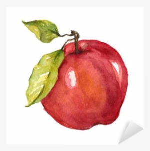 Apple Fruit Drawing Watercolor