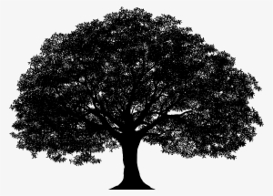 Tree Silhouette Png Clip Art Image - Tree Silhouette Png