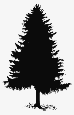 Pine Tree Clipart Leaf