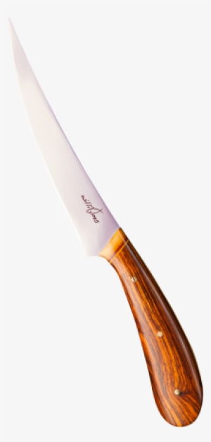The Chechessee - Fillet Knife