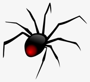 Cartoon Spider Template - Spider Clipart Png