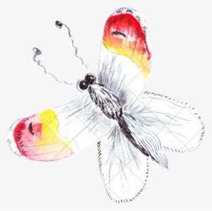 Banner Freeuse Hand Of Colourful Butterfly Photos By - Watercolor Painting