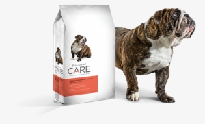 Grain-free Dog Food For Weight Management