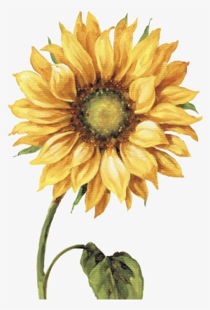 Chalkboard Clipart Sunflower - Lisa Audit - Under The Sun I Canvas