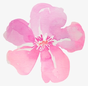 5 - Flowers Hibiscus Png Watercolor
