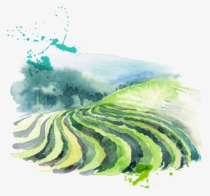 Gong Cha - Tea Lovers Masala Chai Loose Leaf Tea 100g