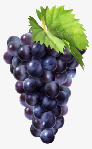 Grapes Png