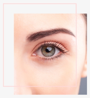 Eyebrow Consultation - Crust In Tear Duct