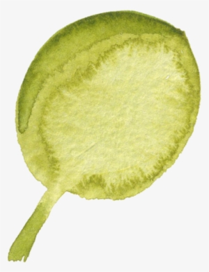 How Does A Treatment Feel - Kiwifruit