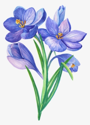 Pin By Vidhi Savla On Florals - Illustration