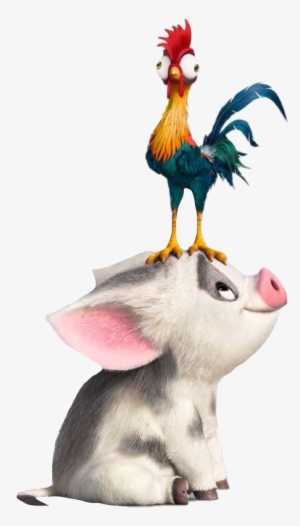 Hei Hei The Rooster Moana The Walt Disney Company Film - Moana Pua And Hei Hei