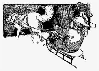 Wolf Pulling Sled - Собака В Санях Упряжка