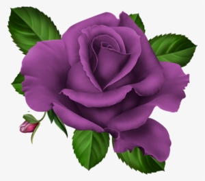 Violets Clip Art Roses Pink Roze Rosa Kwiaty Png Flowers - Purple Roses Png